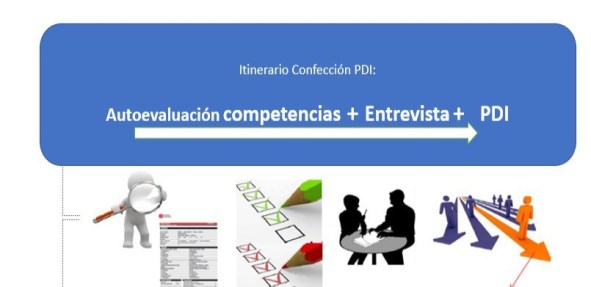 Programa de Desarrollo Individual